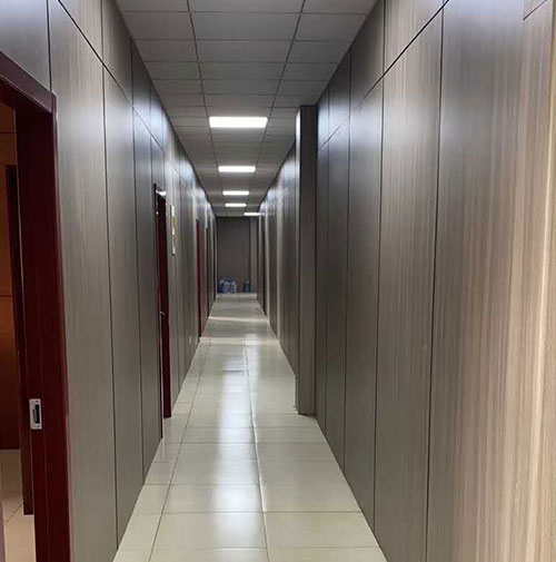 Das Integrationsprojekt von Hongze Lake Medical and Nursing Integration